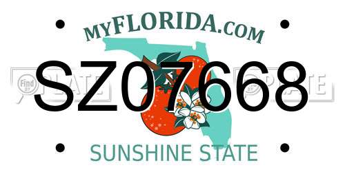 SZ07668 Florida License Plate