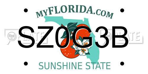 SZ0G3B Florida License Plate