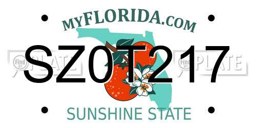 SZ0T217 Florida License Plate