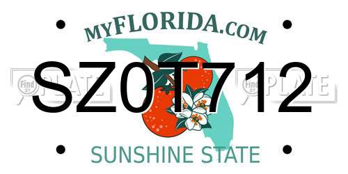 SZ0T712 Florida License Plate