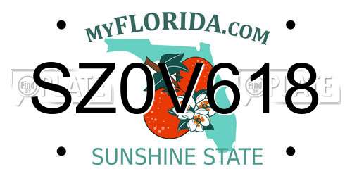 SZ0V618 Florida License Plate