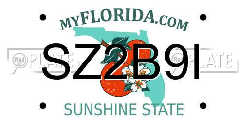 SZ2B9I Florida License Plate