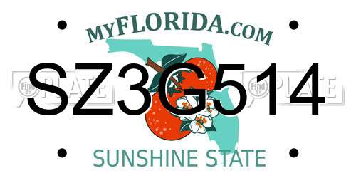 SZ3G514 Florida License Plate