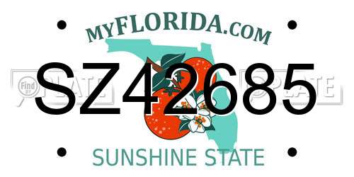 SZ42685 Florida License Plate