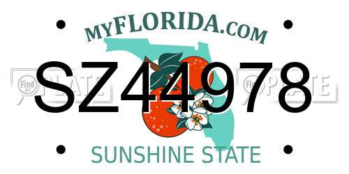 SZ44978 Florida License Plate