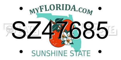 SZ47685 Florida License Plate