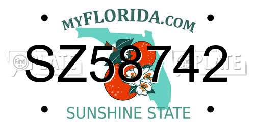 SZ58742 Florida License Plate
