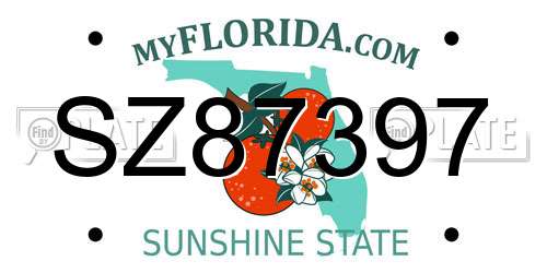 SZ87397 Florida License Plate