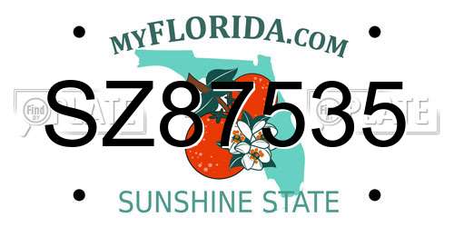 SZ87535 Florida License Plate