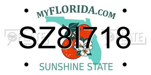 SZ8I718 Florida License Plate