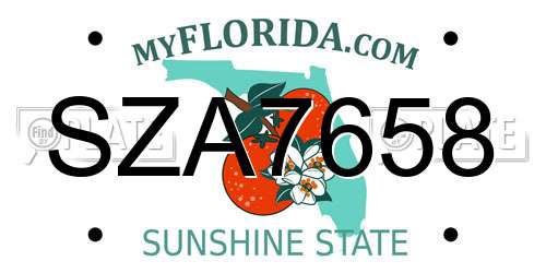 SZA7658 Florida License Plate
