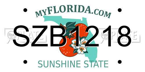 SZB1218 Florida License Plate