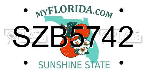 SZB5742 Florida License Plate