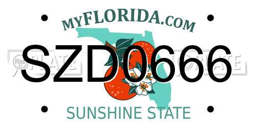 SZD0666 Florida License Plate