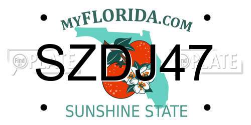 SZDJ47 Florida License Plate