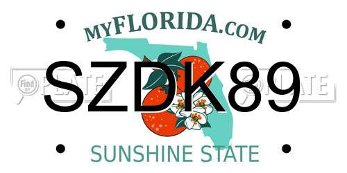 SZDK89 Florida License Plate