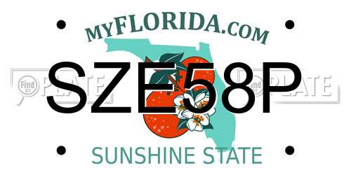 SZE58P Florida License Plate
