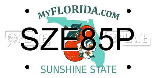 SZE85P Florida License Plate