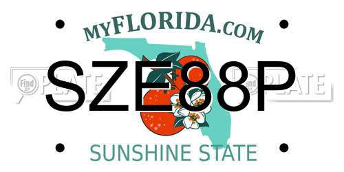 SZE88P Florida License Plate