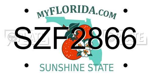 SZF2866 Florida License Plate