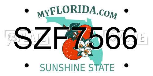 SZF7566 Florida License Plate