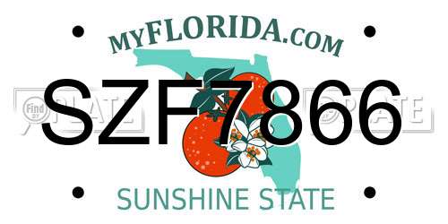 SZF7866 Florida License Plate