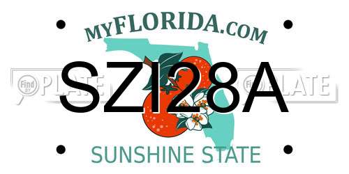 SZI28A Florida License Plate