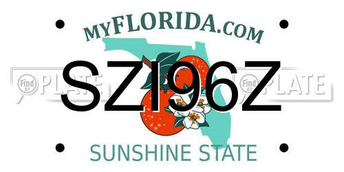 SZI96Z Florida License Plate