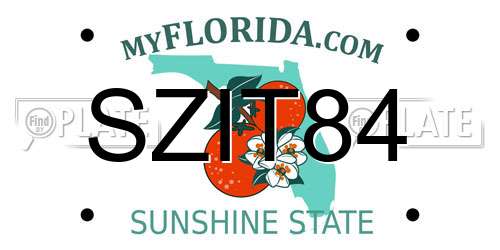 SZIT84 Florida License Plate