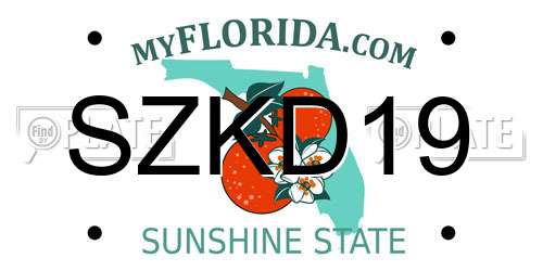 SZKD19 Florida License Plate