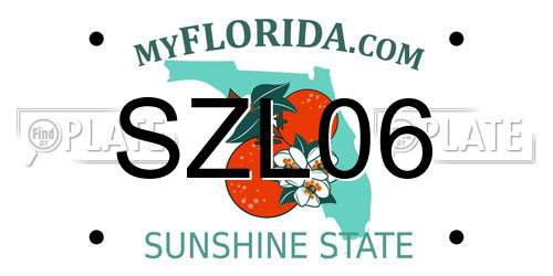 SZL06 Florida License Plate