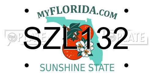 SZL132 Florida License Plate