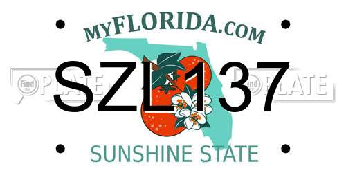SZL137 Florida License Plate