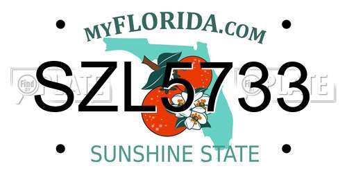SZL5733 Florida License Plate