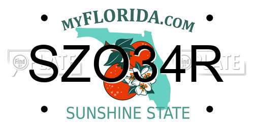 SZO34R Florida License Plate