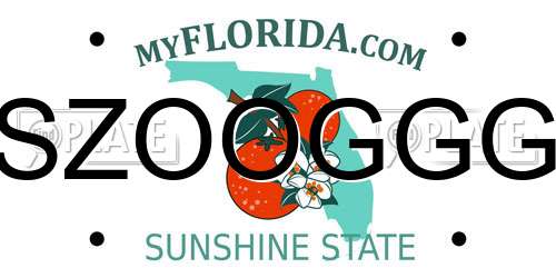 SZOOGGG Florida License Plate