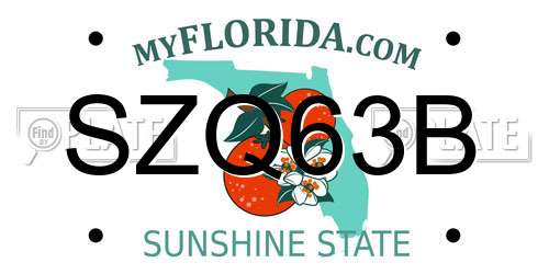 SZQ63B Florida License Plate