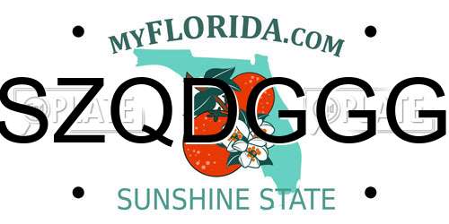 SZQDGGG Florida License Plate