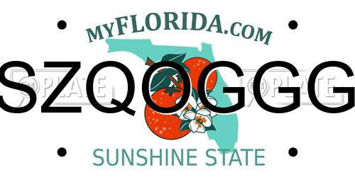 SZQOGGG Florida License Plate