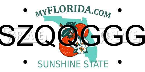 SZQQGGG Florida License Plate