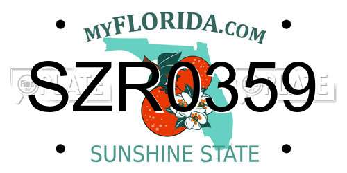 SZR0359 Florida License Plate