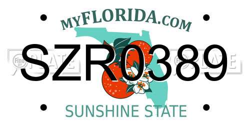 SZR0389 Florida License Plate