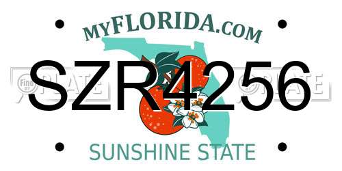 SZR4256 Florida License Plate