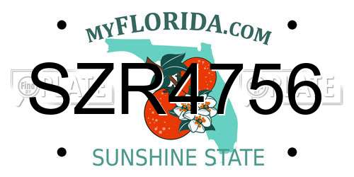 SZR4756 Florida License Plate