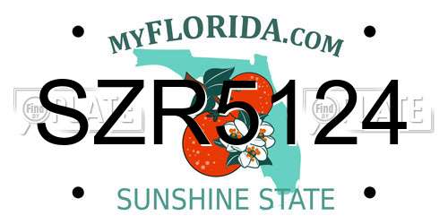 SZR5124 Florida License Plate