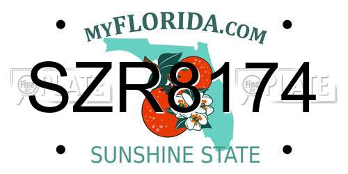 SZR8174 Florida License Plate