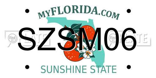SZSM06 Florida License Plate