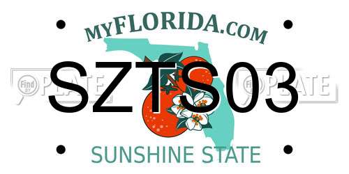 SZTS03 Florida License Plate