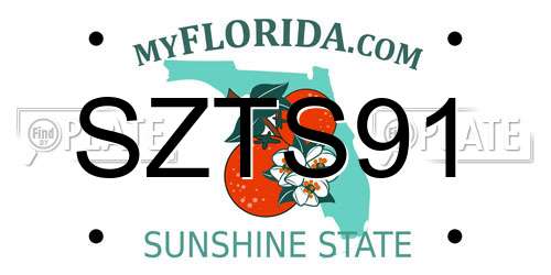 SZTS91 Florida License Plate