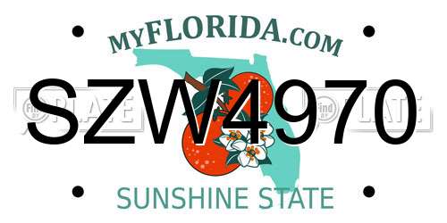 SZW4970 Florida License Plate